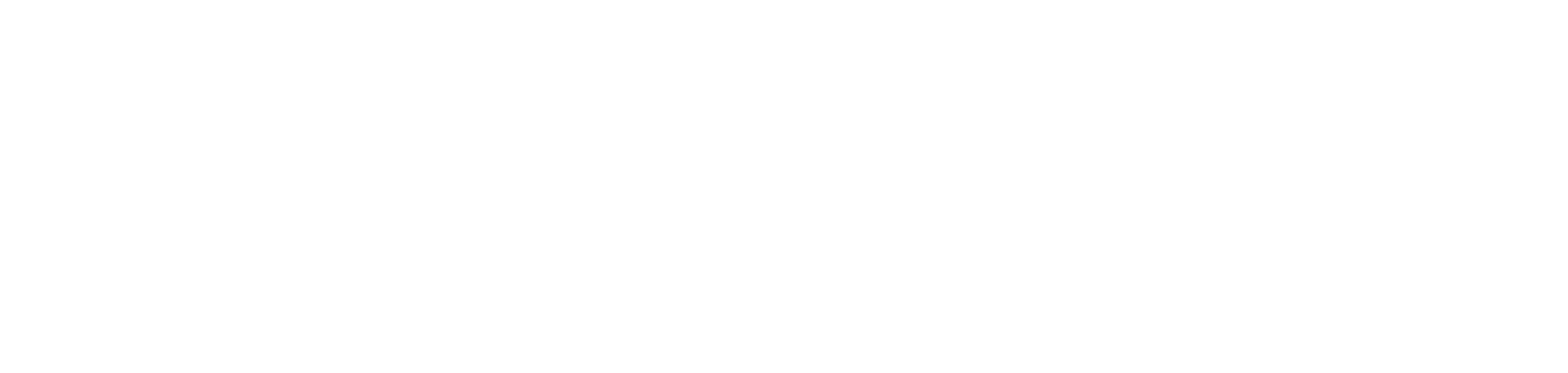 Projecio Logo